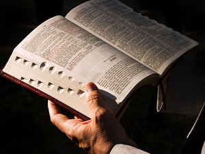 Vamos elaborar textos, com alguma densidade de conteúdo e, portanto, devendo ser pequenos em extensão.